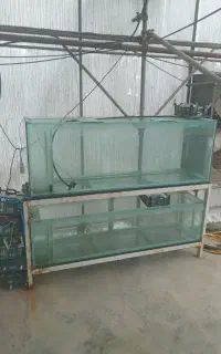 شیشه اکواریوم بزرگ ۲ متری ۱۰ میلیمتری