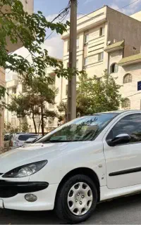 ۲۰۶ تیپ۵ استثنایی