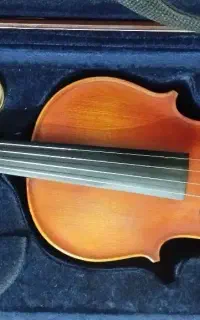 فروش ویولن آماتی ۲۰۰ سایز 4/4