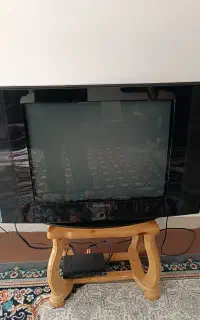 تلوزیون