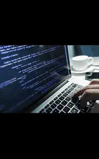 فعالیت داوطلبانه و همکاری