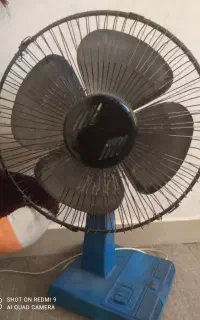 پنکه