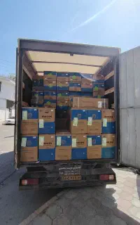 کولر گازی فلیپس