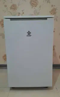 فریزر سینجر بدون برفک