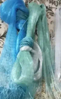 شادگان ... سعدی 14