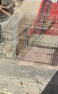 قفسه