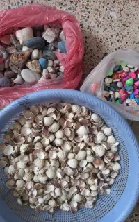 تمام لوازم اگواریوم شهری