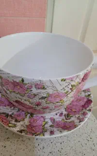 ظرف پذیرایی