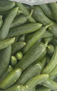 محصولات کشاورزی