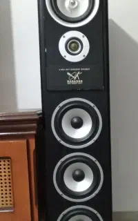 اسپیکر ایستاده