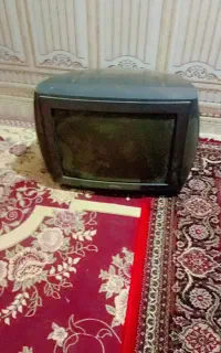 تلویزیون
