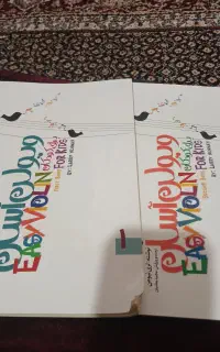 ویلون سالم در حد نو