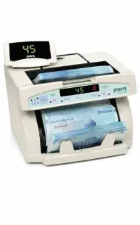 صدی برای دسته گل ( کارش با سوده)