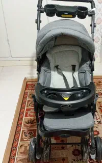 کالسکه مارک دلیجان