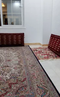 پشتی یک جفت نو