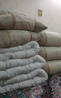 شاه‌نشین جدید