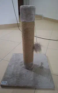 اسکرچر گربه