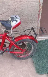 دوچرخه