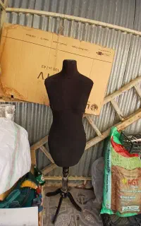 مانکن