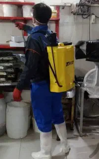 سم پاشی حشرات سوسک ساس موریانه ۱۰۰%تضمینی موش
