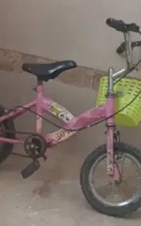 دوچرخه ۱۲
