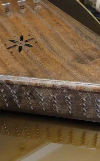 سنتور برند میثم علیپور در حد نو