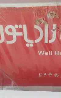 پکیج ایران رادیاتور ECO24ff