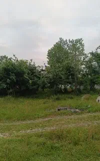 سریدار برای باغ ویلا