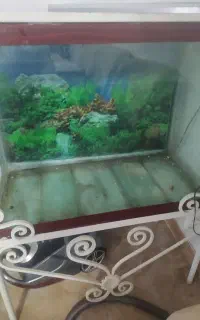 فروش اکواریوم