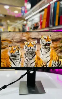 مانیتور ۲۳ اینچ دل فریملس HDMI عروسک با ضمانت