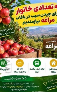 نیرو برای سیب چیدن
