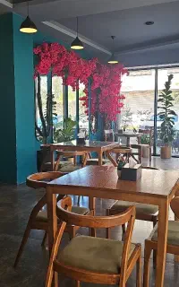 سالندار(ویتر)