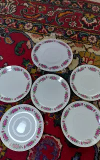 گلسرخی قدیمی سالم آس