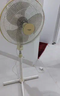 پنکه