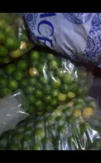 لیموترش