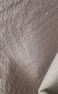 موکت