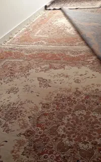 فرش کرم در حد نو