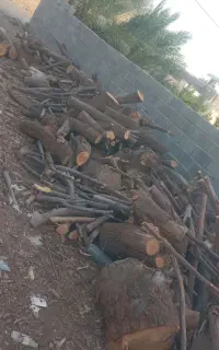 انواع چوب
