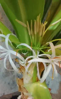 انجام پیکور کار ی وتخریب کامل