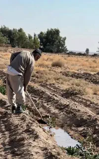 آبیار و کشاورز