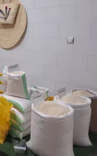 برنج گیلان  فروش به صورت اقساط با چک صیادی