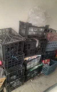 سبد خالی برا انگور و میوه