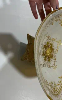 ظروف پذیرایی