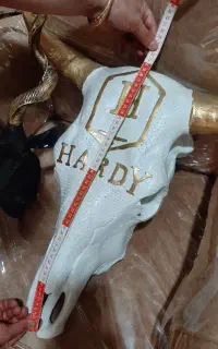 دیوار کوب سر گاو و گوزن