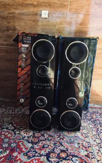 اسپیکر  دوقلو Dmax