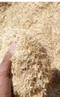 فروش کاه گندم