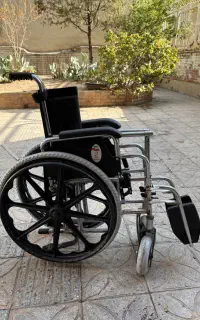 ویلچر دو منظوره