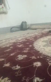 جارو برقی