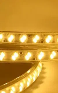 ریسه شلنگی