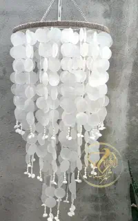 فروش عمده پولک صدفی طبیعی